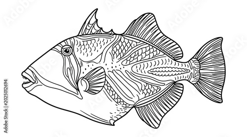 Foto Line Art Triggerfish Illustration - Intricate Patterned Marine Animal Drawing