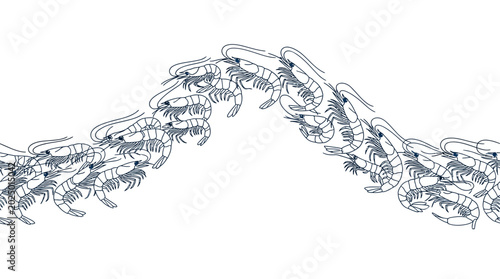 Photos Arch of Shrimp Illustration