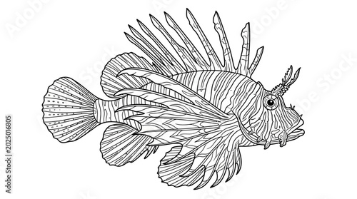 Fotografi Line Art Lionfish Illustration, Detailed Drawing of a Venomous Marine Fish
