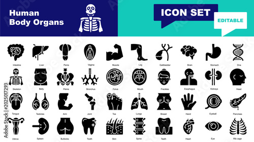 Bild auf Leinwand Human body organs icon set