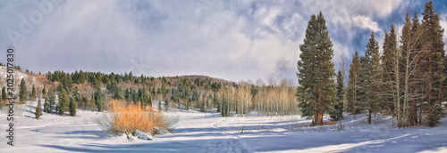 Tibble Fork Loop winter storm snow views from hiking trail Lone Peak Wilderness Uinta Wasatch Cache National Forest, Rocky Mountains, Utah. United States.