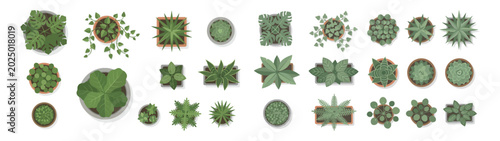Top View Potted Houseplants Collection – Succulents, Tropical Foliage and Indoor Plant Set