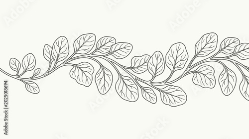 Obraz na płótnie Elegant botanical line art illustration of a flowing branch with leaves, minimal