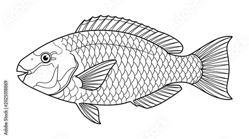 Schilderij op canvas Black and White Line Drawing of a Tropical Fish, Aquatic Animal Illustration