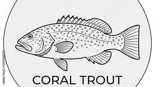 Tableau sur toile Coral Trout Fish Illustration - Line Art