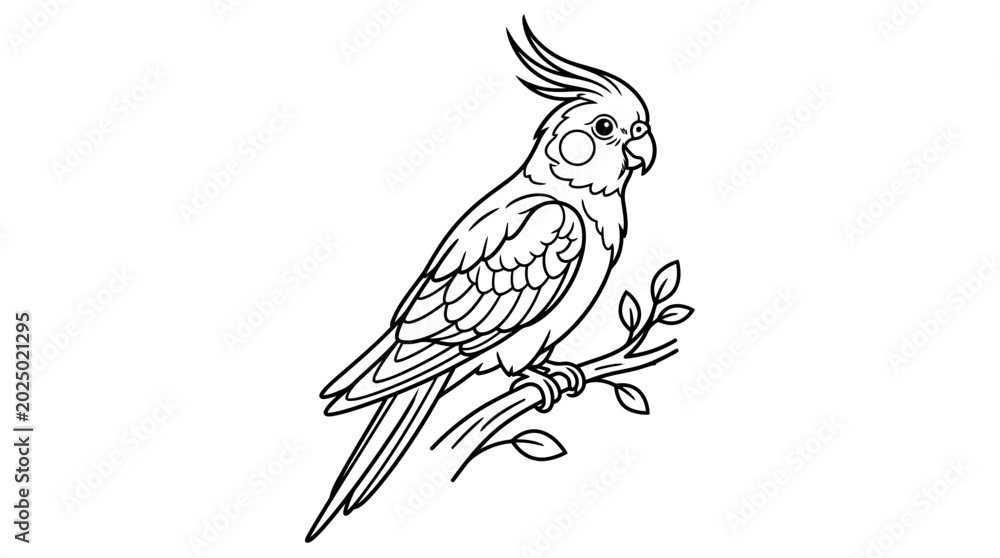 Fototapeta premium Cockatiel Bird Perched on Branch, Outline Drawing
