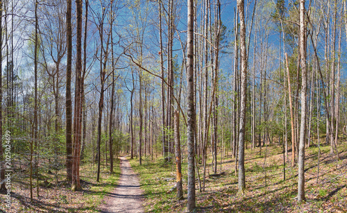 Foto Pocahontas State Park spring forest hiking trail views, Richmond, Virginia, United States