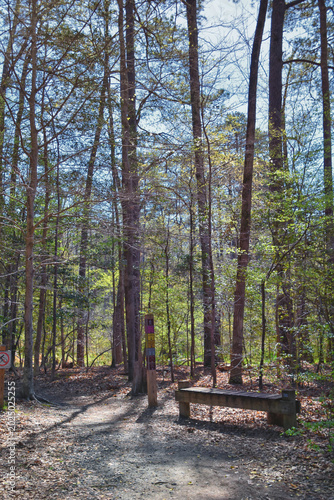 Bild auf Leinwand Pocahontas State Park spring forest hiking trail views, Richmond, Virginia, United States