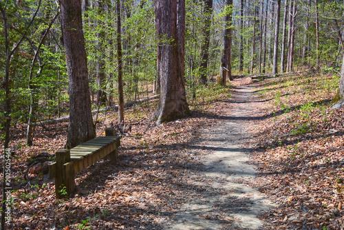 Photos Pocahontas State Park spring forest hiking trail views, Richmond, Virginia, United States
