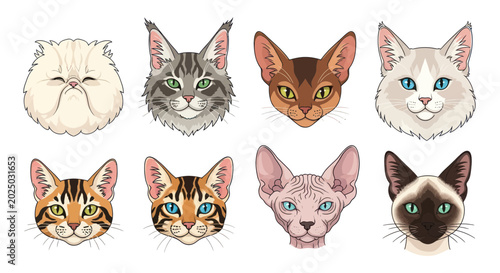 Tableau sur toile Diverse Cat Breeds Collection: Cute Pet Portraits