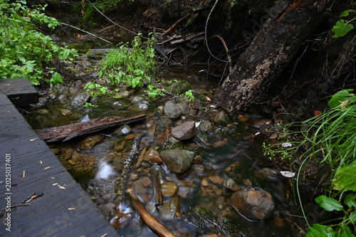 Clear water brook flowing over stones next to a wooden trail boardwalk in a lush forest