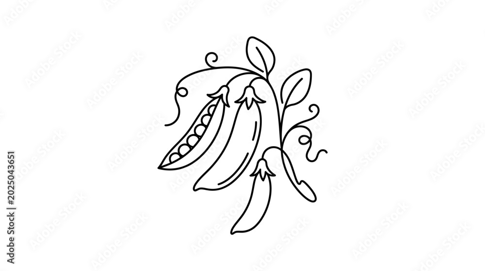 Fototapeta premium Pea Pods Line Art Illustration - Fresh Organic Vegetable Drawing