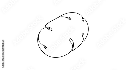 Slika na platnu Minimalist Potato Line Art Drawing, Simple Organic Vegetable Outline, White Back