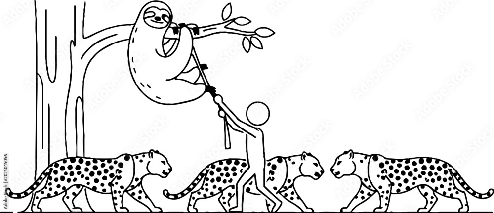 Fototapeta premium Sloth on leash guided past leopards