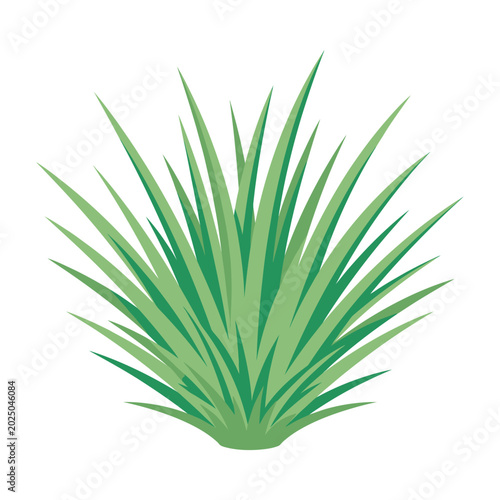 Tableau sur toile Stylized Green Grass Tufts Isolated on White Background Vector Illustration for