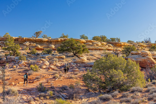 Εκτύπωση καμβά Hikers ascend a sandy trail through an arid desert landscape.