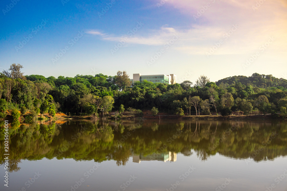 Fototapeta premium Scenic lake reflecting dense lush green trees and modern building in distance
