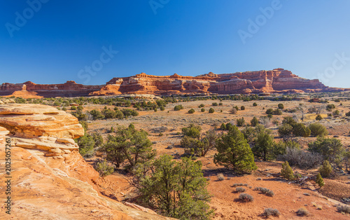 Red rock mesas rise above green vegetation in the desert.