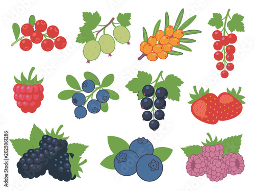 Obraz na plátně Compendium of fresh summer berries including strawberries and currants for menu