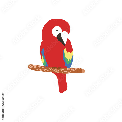 parrot on a branch