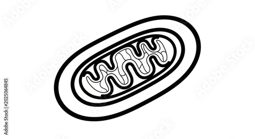 Bild auf Leinwand Mitochondrion, the powerhouse of the cell, simplified illustration