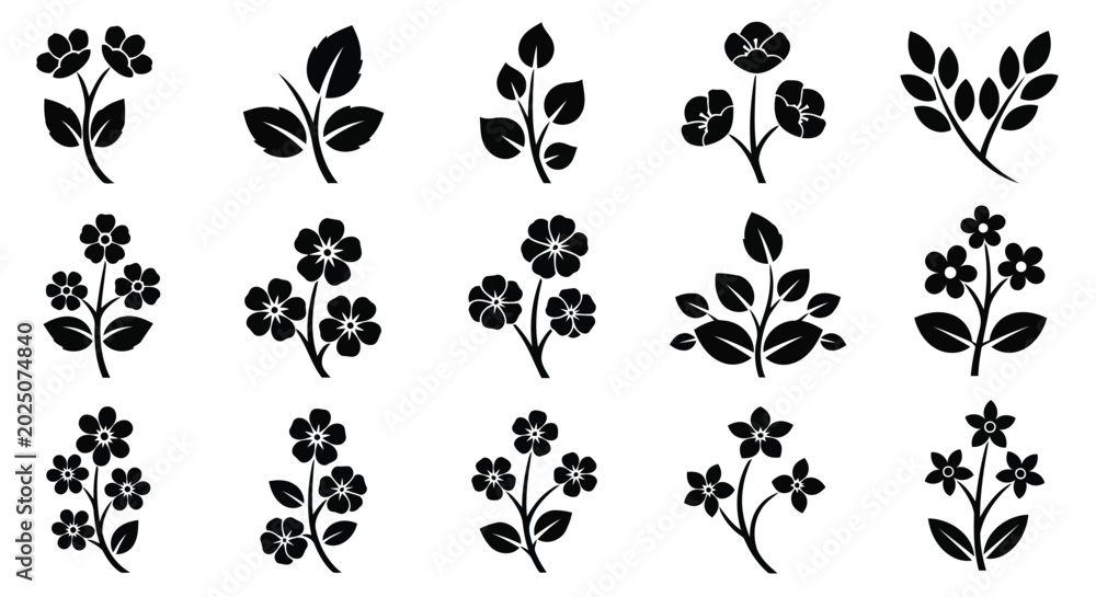 Fototapeta premium Adobe Illustrator Artwork