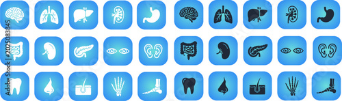 Tableau sur toile Set of human organs gradient icons for medical UI, healthcare apps, hospital education, anatomy study, medical infographic, science interface, clinic symbols, and healthcare design