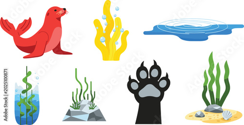 Photography Sea Animals and Ocean Elements Vector Set Featuring Seal, Coral, Water Ripples,