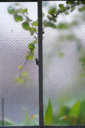 部屋の窓越しに見える新緑の植物と柔らかな光