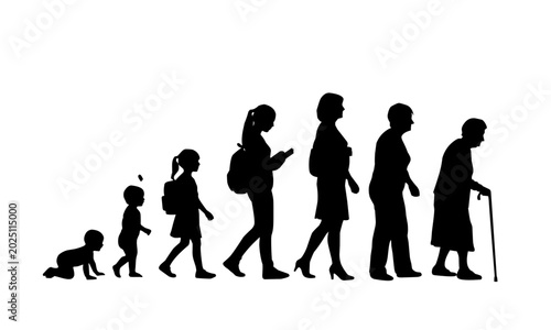 Human life cycle silhouette illustration showing stages of female growth from baby to elderly person. Educational aging concept vector isolated on white background