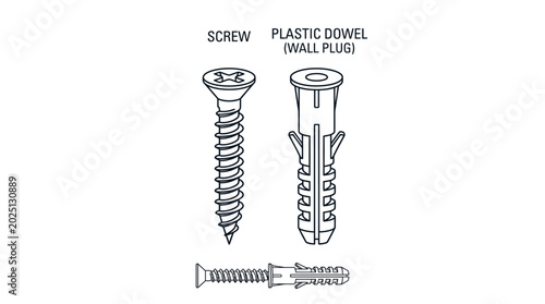 Screw and Plastic Wall Plug (Dowel) Illustration