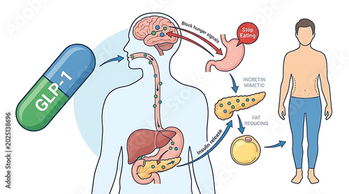 Oral GLP-1 Receptor Agonist Pharmaceutical Pill for Metabolic Weight Management Therapy and Incretin Mimetic Hormone Treatment to Regulate Appetite Control and Obesity Medical Intervention