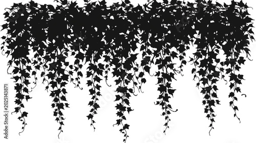 Vines Descending: A silhouette of lush ivy vines cascading downwards, creating a decorative natural border.