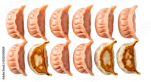 Isolated Dumplings Appetizi...