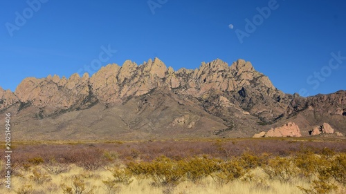 moonrise over the jagged peaks of the organ mountains-desert peaks national monument on a sunny winter day in north las cruces, new mexico