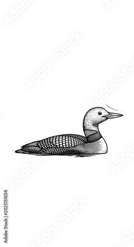 Isolated Illustration of a ...