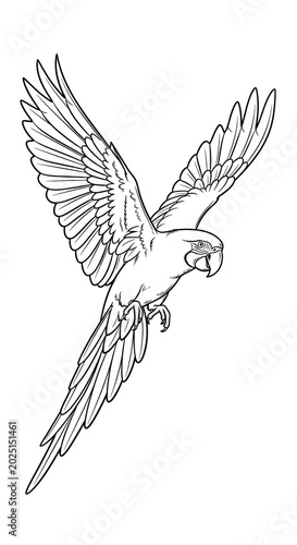 Isolated Line Art Flying Parrot Vector Illustration