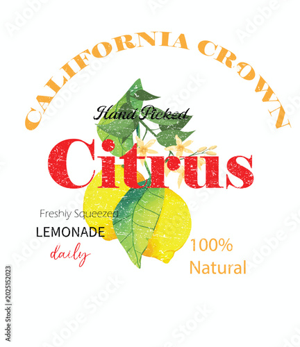 Fresh yellow citrus fruit branch vector for typography homemade lemonade t shirt print graphic apparel design sticker poster kitchen wall art food beverage illustration background