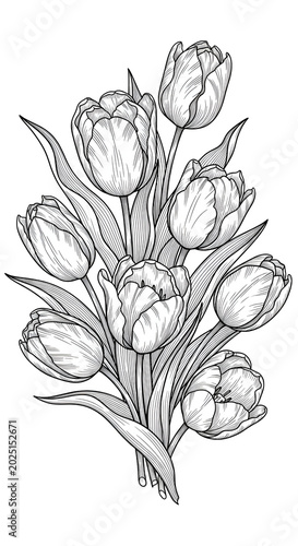 Isolated Outline Bouquet of...