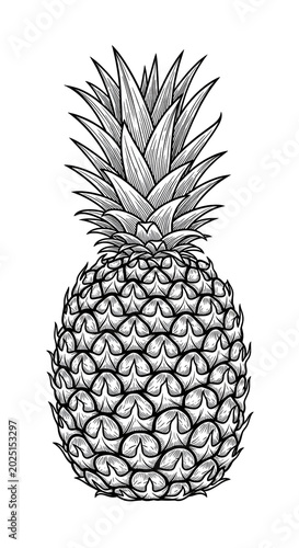Isolated Pineapple Illustra...