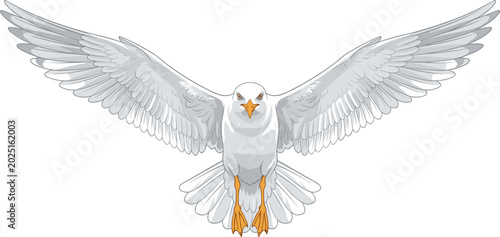 Photos Front view flying seagull vector illustration with widespread wings, isolated se
