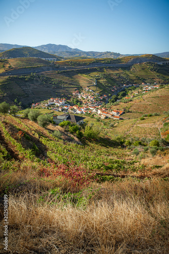 view of the douro valley