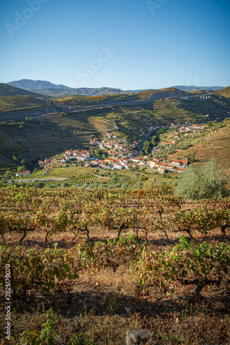 view of the douro valley