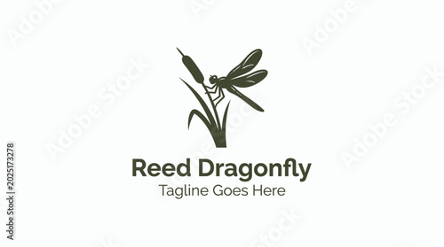 Foto Dragonfly on Reed Plant Logo Icon.