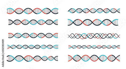 Scientific illustration displaying a collection of different DNA double helix strands in blue, red, and black colors.