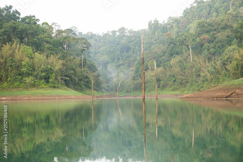 Landscape view of Khao Sok National Park, Surat Thani Province, Thailand