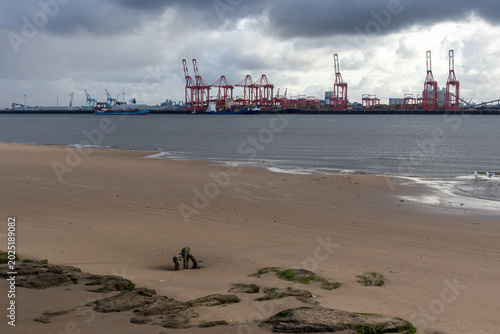 Foto New Brighton beach at low tide with encrusted mooring post in the foreground and