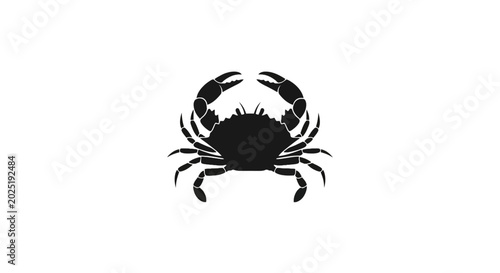 Foto Black silhouette of a crab.