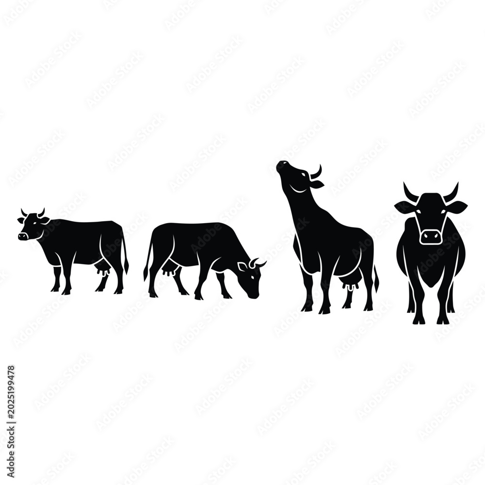 Fototapeta premium Four black cow silhouettes standing and grazing in a field