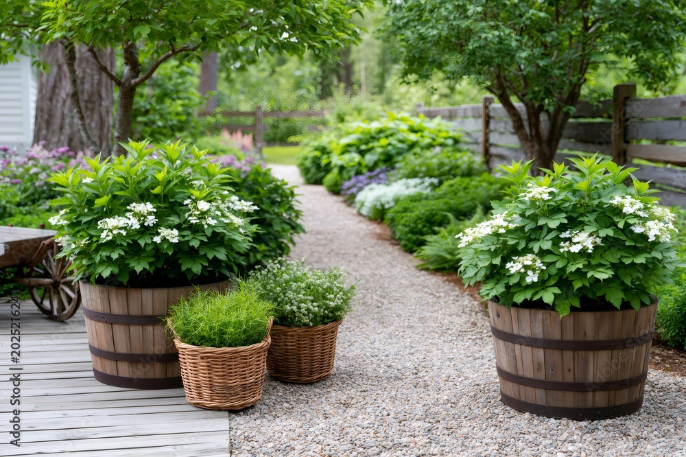 Fototapeta premium Garden path winding through lush green landscape